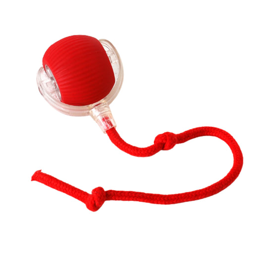 Prowl™ – Interactive Smart Rolling Toy Ball for Ferrets – Obstacle Avoidance & Multi-Mode Play